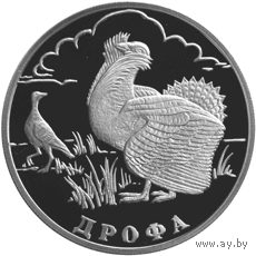 Красная книга: Дрофа