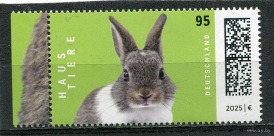 Германия. Фауна. Домашние животные. Кролик