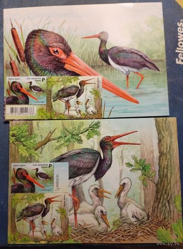 Картмаксимум 2 шт  Беларусь Belarus 2026, (1425L) Черный аист. Фауна. Птицы. Купон