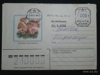 1985 лисички прошло почту