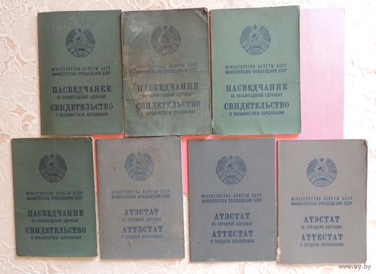 Документы о базовом и среднем образовании (все), 7 шт.