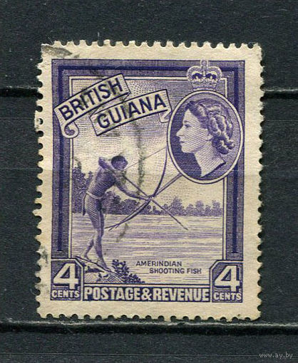 Британская Гвиана - 1954 - Елизавета II. Рыбалка 4С - [Mi.202] - 1 марка. Гашеная.  (Лот 19HV)-TG3P21