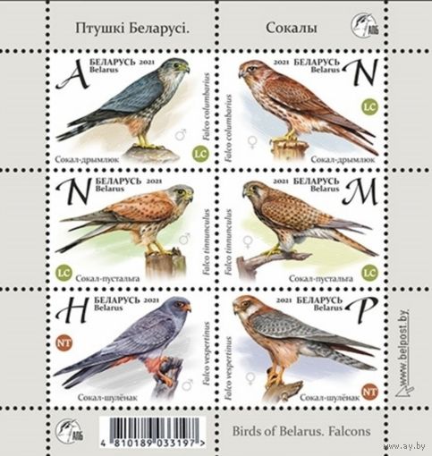 Соколы. Малый лист, 2021. Беларусь