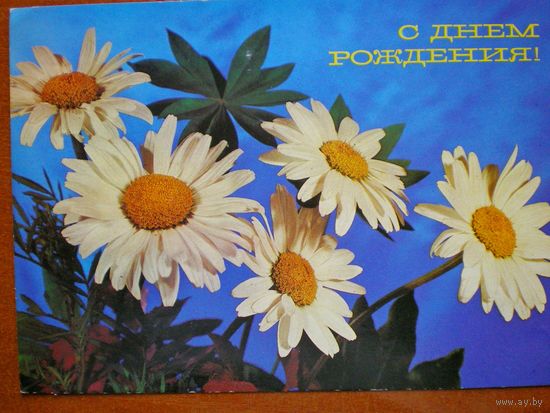 Круцко. С днём рождения, 1989 г. (подписана)