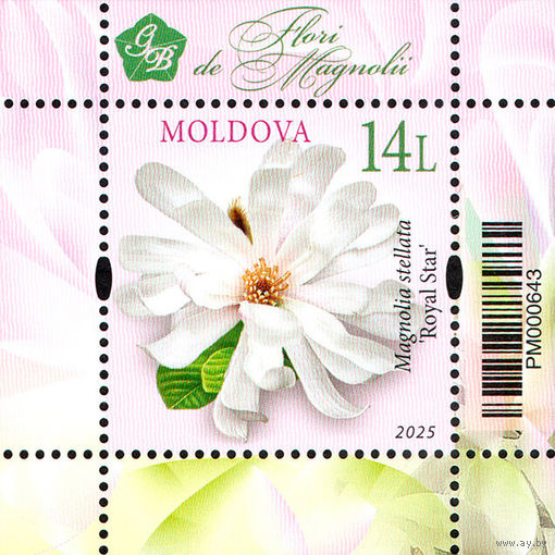Молдова 2025. Флора. Цветы магнолия блок (941)