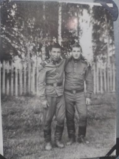 Фото в коллекцию