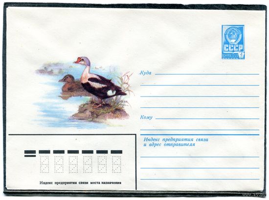 СССР 1981. ХМК. Конверт. Гага - гребенушка