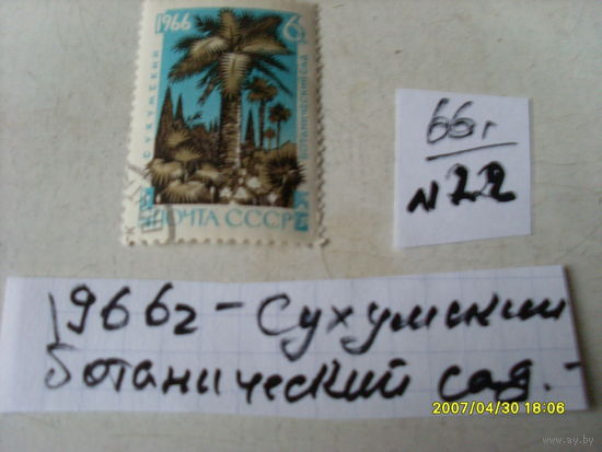 ПОЧТОВАЯ МАРКА  СССР "СУХУМСКИЙ БОТАНИЧЕСКИЙ САД "1966 Г