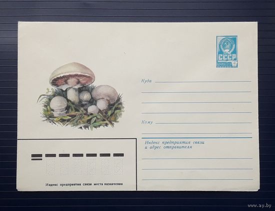 СССР 1980 ХМК худ.Игнатьев. Шампиньоны.