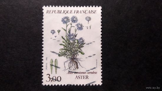 ФРАНЦИЯ \502с\  1983 флора цветы