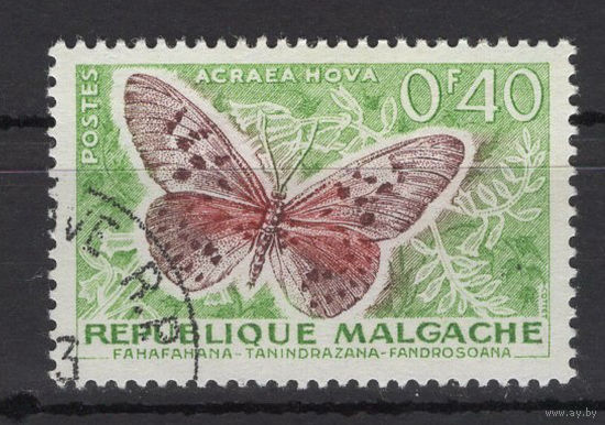 Французский Мадагаскар (MALGACHE) 1960  Фауна Насекомые Бабочки (Mi#446)