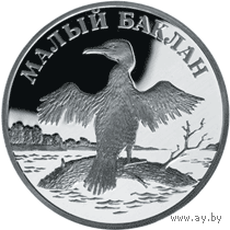Красная книга: Малый баклан