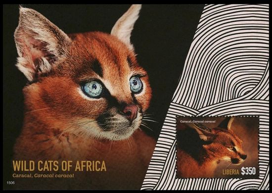 2014 Либерия 6603/B691 Кошки 10,00 евро