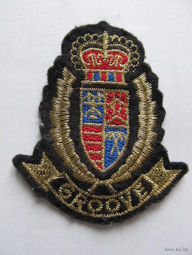Шеврон, нашивка (Франция)3