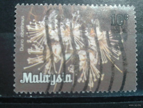 Малайзия, федеральные территории, 1979. Цветы