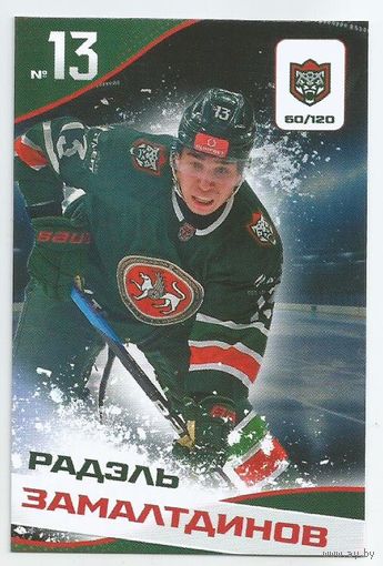 Радэль Залалтдинов / Коллекция "Ак Барс Казань 2025-206"