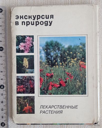 Экскурсия в природу. 25 открыток с лекарственными растениями