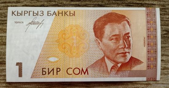 Werty71 Киргизия 1 сом 1994  UNC банкнота Кыргызстан