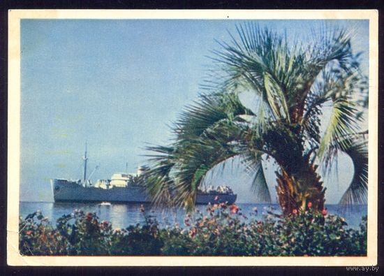 СССР 1954 год Дизель-электроход "Россия"