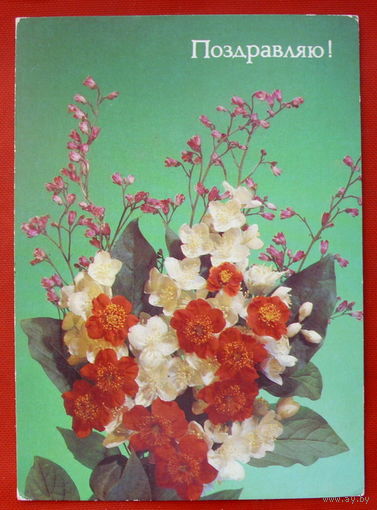 Поздравляю. Дергилева. Чистая. 1989 года. 245.