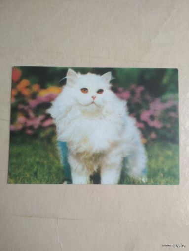 Карманный календарик. Кошки . 1996 год