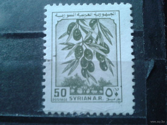 Сирия 1982 Стандарт, оливки