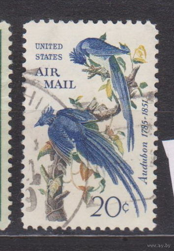 Птицы фауна США лот 11
