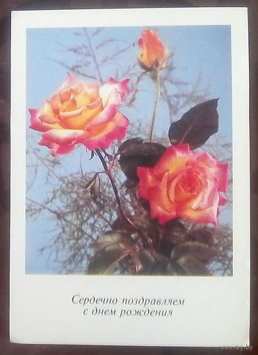 Германия Сердечно поздравляем с днём рождения