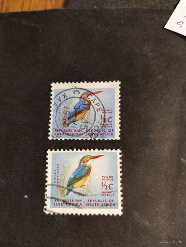 ЮАР 1961  2 м  птицы