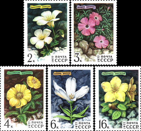 Цветы гор Сибири СССР 1977 год (4696-4700) серия из 5 марок