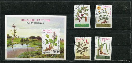Беларусь 1996.. Лекарственные растения