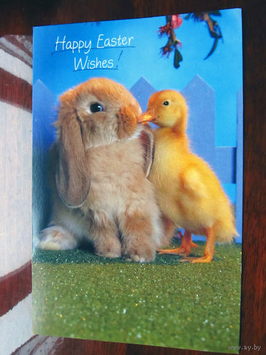 С005-3135 Открытка Happy Easter Wishes США Конец 1990-х – начало 2000-х Подписана