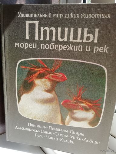 У.Брэдбери Птицы морей, побережий и рек