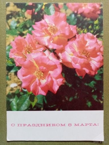 Кропивницкий 1969 С праздником 8 Марта! чистая авиа ПК