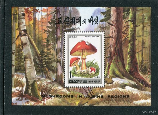 КНДР. Грибы. Блок