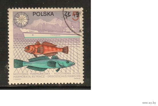 Польша-1987(Мих.3077) , гаш. , Фауна,   Рыбы