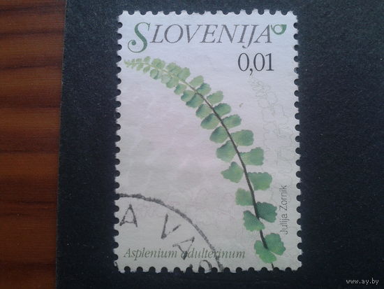 Словения 2007 стандарт, цветы