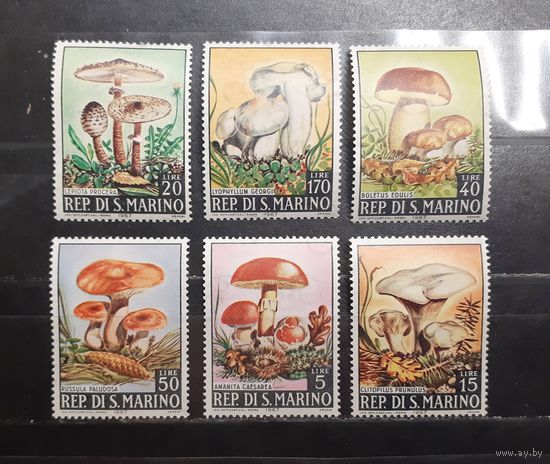 Сан-Марино. 1967 год. Флора. Грибы (965)