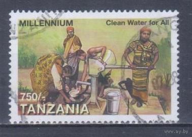 [979] Танзания 1995. Культура и быт Африки.У водоразборной колонки. Концовка серии.Гашеная марка.