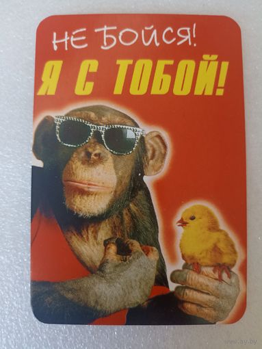 Животные, Обезьяны, 2001 год. Карманные календарики, Календарик, Календарь