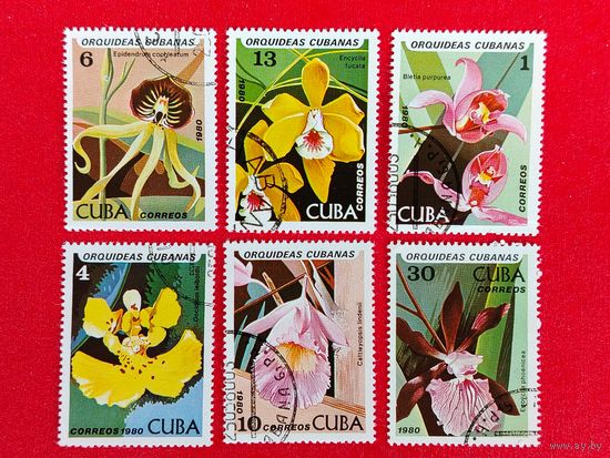 Куба. Орхидеи. ( 6 марок ) 1980 года. 4-5.