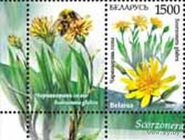 Марки "Чернокорень голый + купон", "Кураслеп лесной + купон"