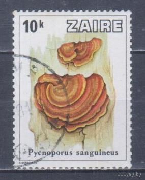 [2155] Заир 1979. Грибы. Гашеная марка.