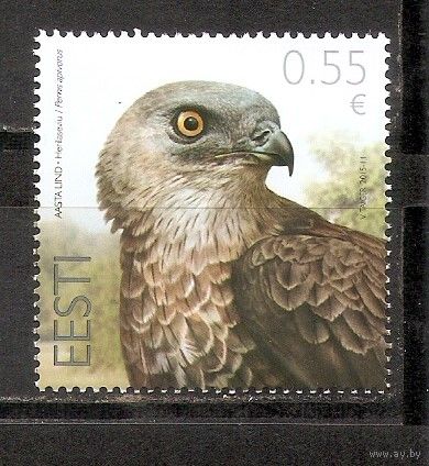 ФФ1 Эстония 2015 Сокол стандарт