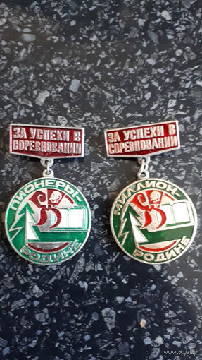 Знаки пионерия Родине