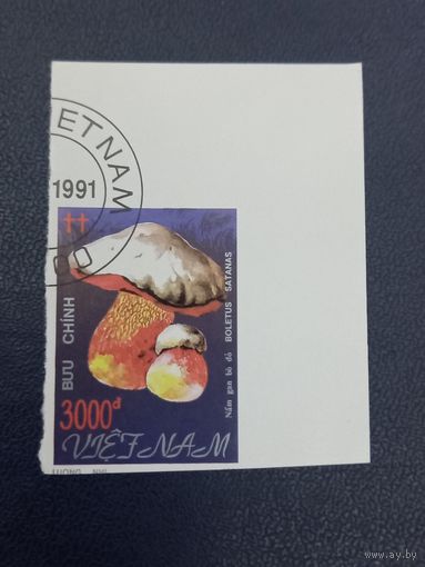 Вьетнам 1991г. Гриб
