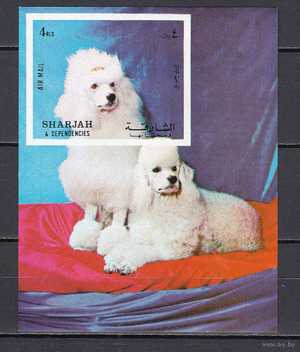 Фауна. Кошки. Шарджа (ОАЭ). 1972. 1 блок. Michel N бл119 (5,5 е)