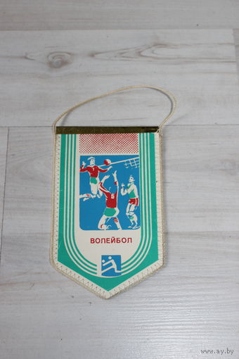 Вымпел, волейбол.