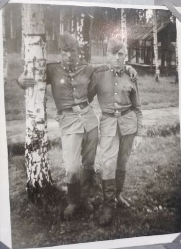 Фото в коллекцию