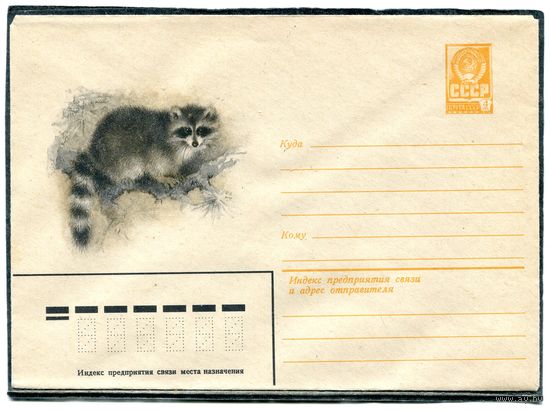 СССР 1981. ХМК. Конверт. Енот